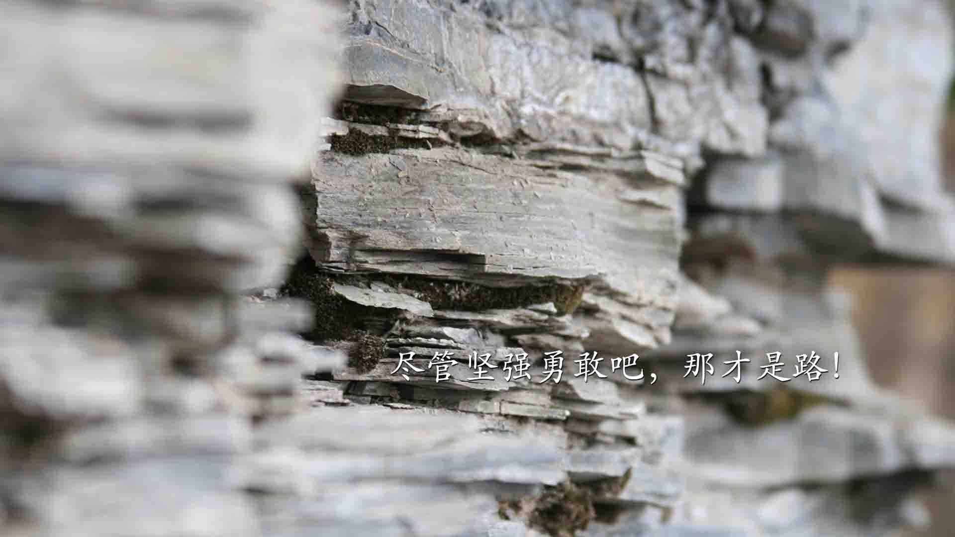 篮球职业联赛引进智能数据分析系统，篮球数据技术统计