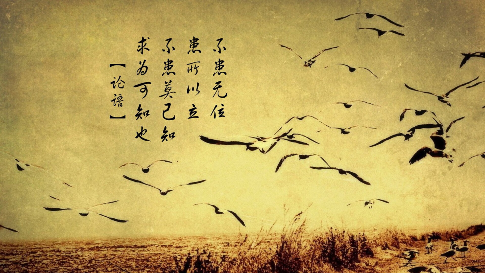 电竞职业选手训练计划科学制定及效果监控方法研究,电竞选手训练的地方叫什么