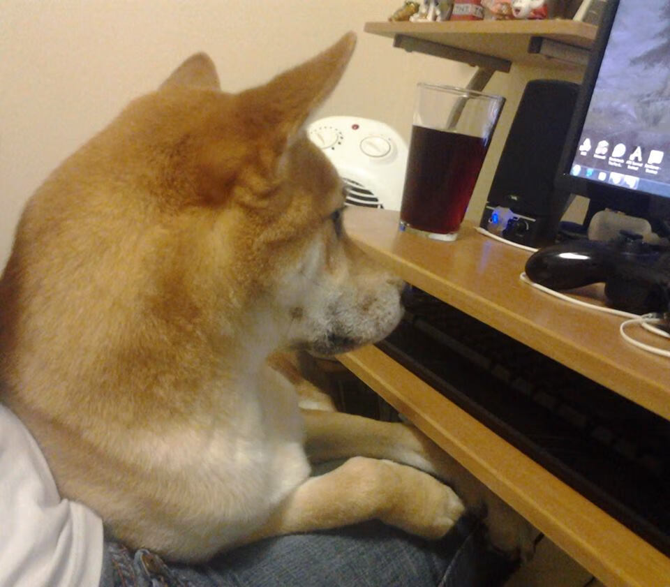 中国男篮构建核心战术系统提升联动性，中国男篮构建核心战术系统提升联动性的原因