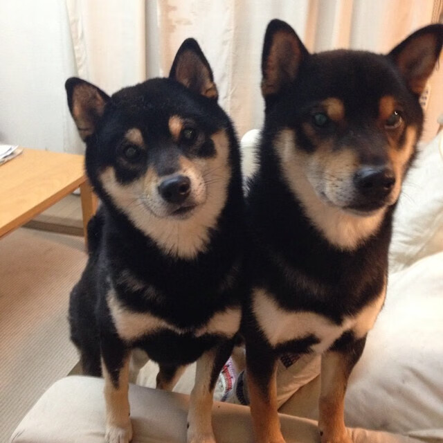 开云·体育全站登录地址-亚冠联赛中国女足晋级 球员配合默契提升，中国女足亚少赛