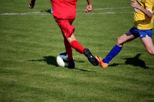 kaiyun 开云体育-仰泳大战美队领先毫厘之间，仰泳比赛视频欣赏