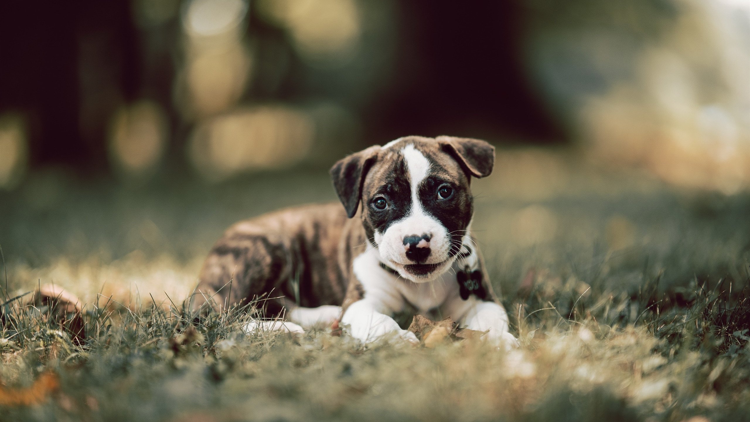 体育新闻中心推动5G技术在体育赛事直播中的应用,5g直播方案