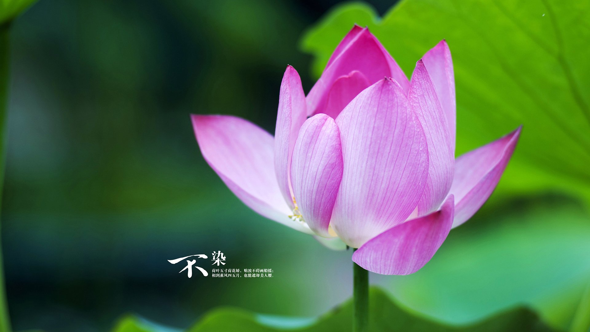 开云入口-冲刺阶段爆发力增强，表现抢眼，冲刺爆发力训练