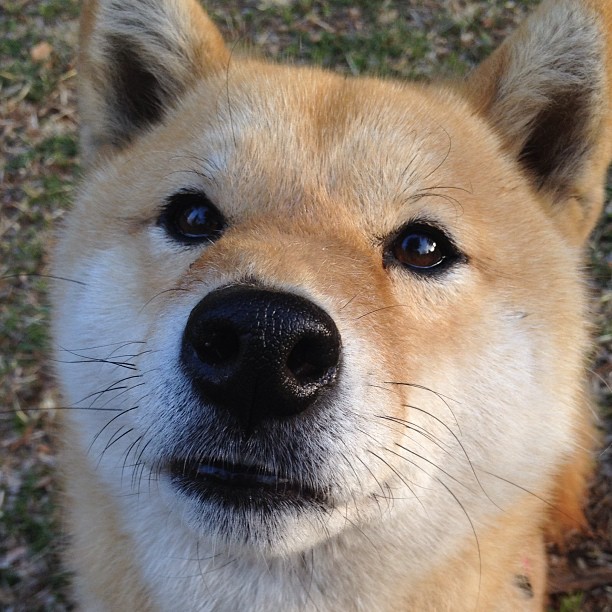 乌拉圭女篮在南美锦标赛中凯旋而归,体育水平不断攀升,乌拉圭 南美