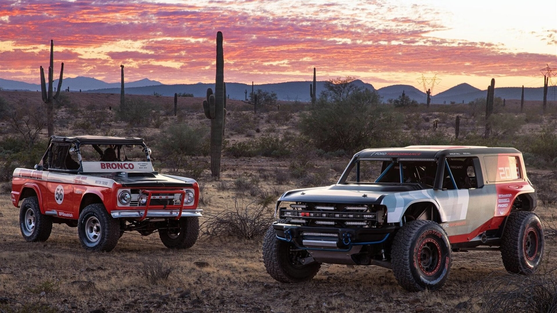 女子篮球提升快速反击效率增强比赛主动性，女子篮球怎么打