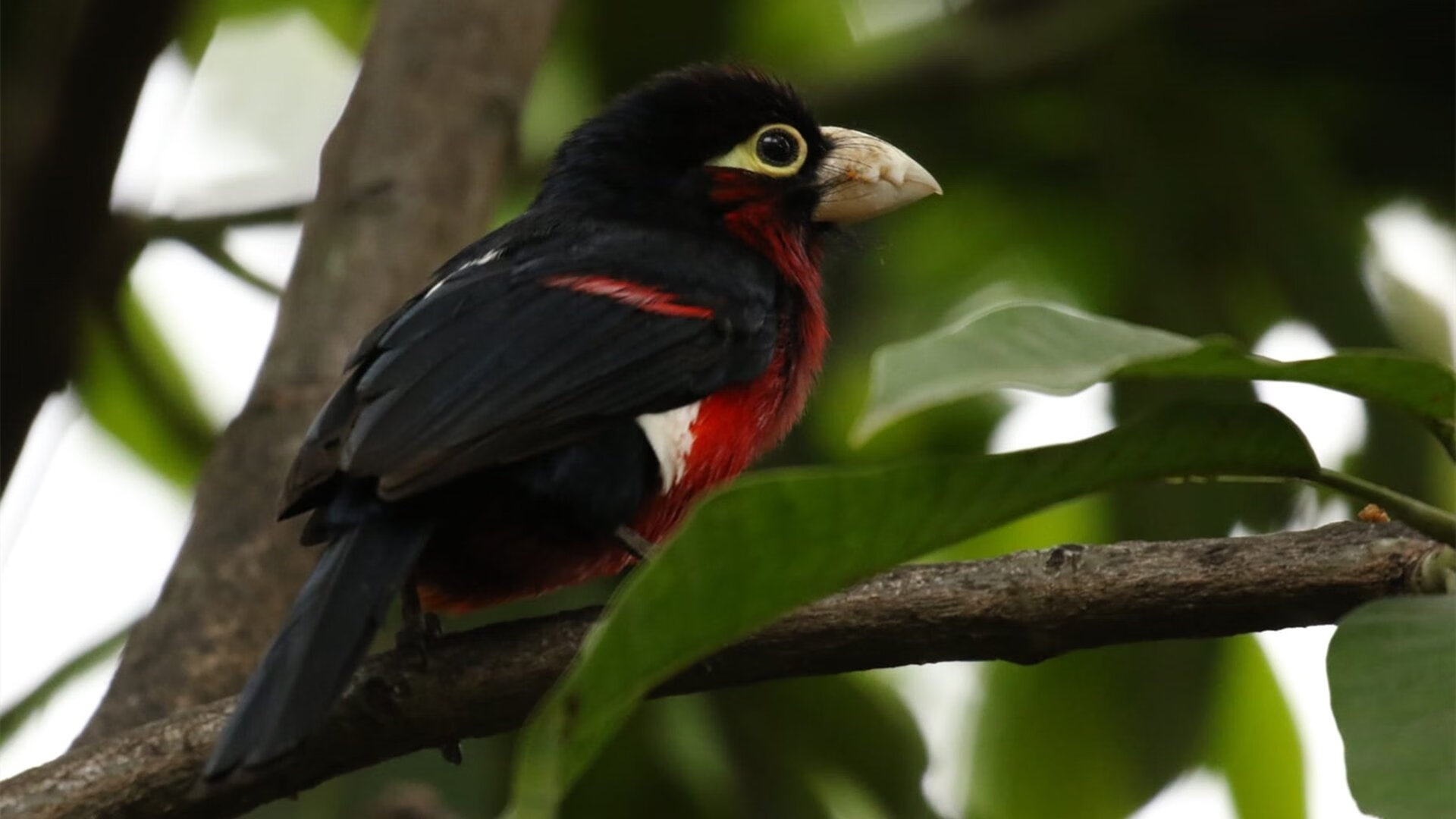 开云官网登录-掘金季前赛对阵强敌全队拼劲十足，掘金今年季后赛战绩