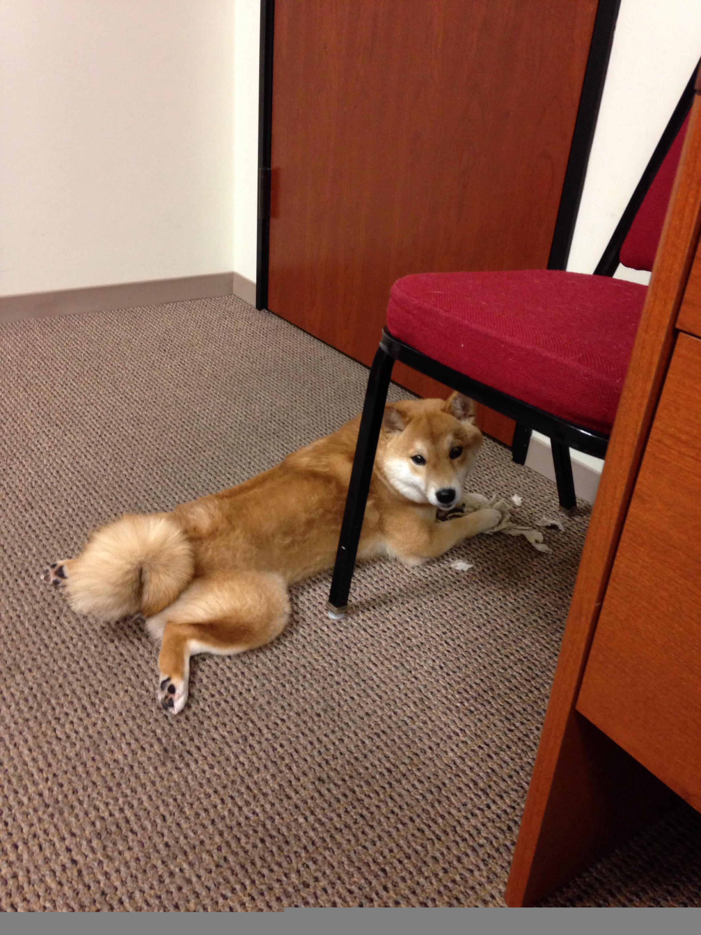 开云体育中国官网-法甲未来巨星：新秀崭露锋芒！，法甲前瞻推荐