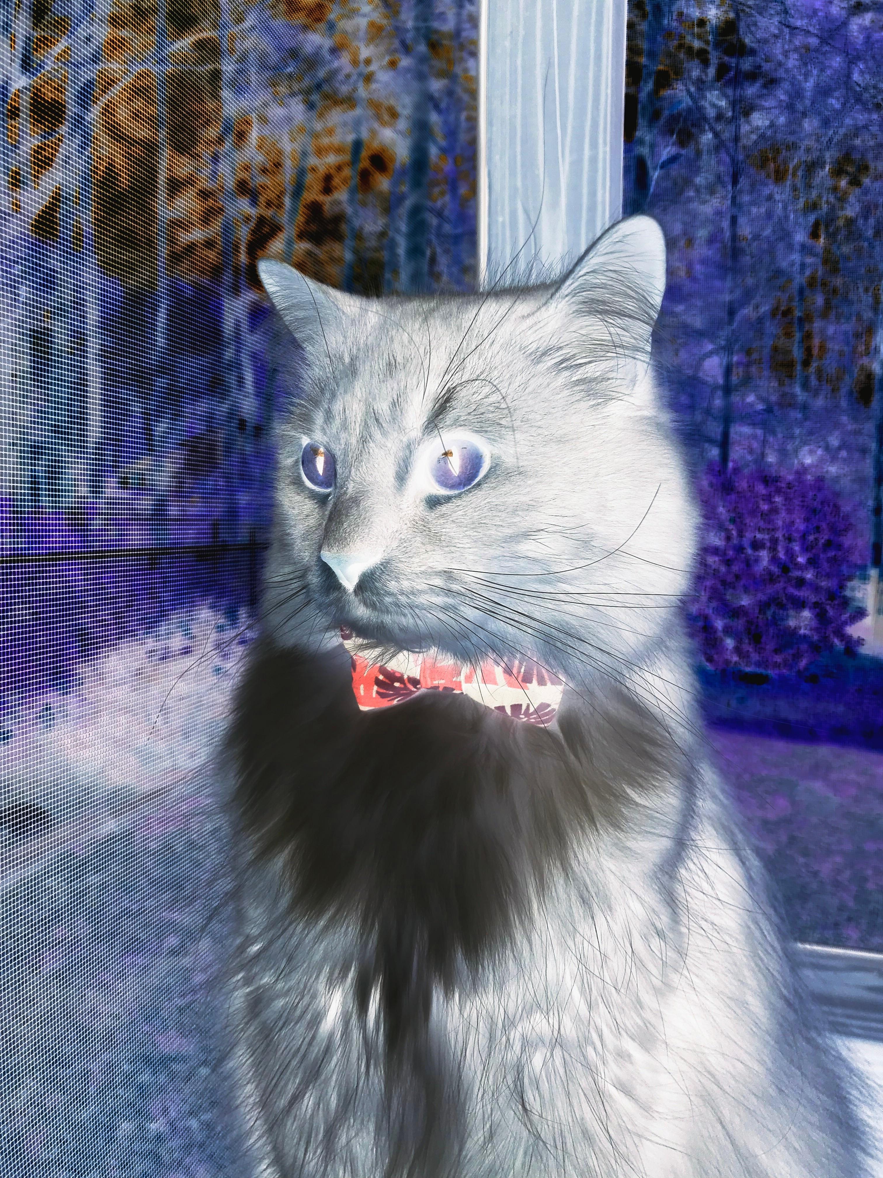 kaiyun体育综合-美洲杯激烈对抗：本届最佳比赛引爆球迷热情，美洲杯最新