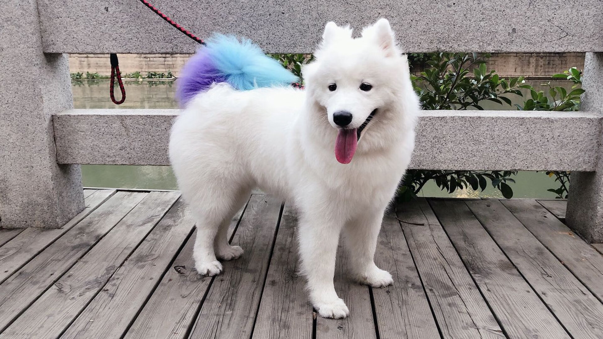 开云·体育官网APP下载-西班牙男篮在国际邀请赛中展现霸主实力，争夺冠军，西班牙男篮小组赛